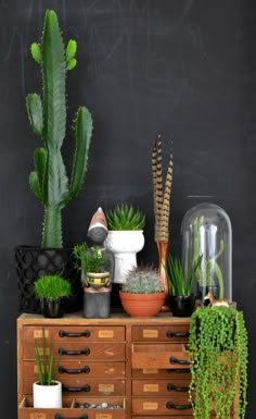 a wooden dresser topped with lots of potted plants