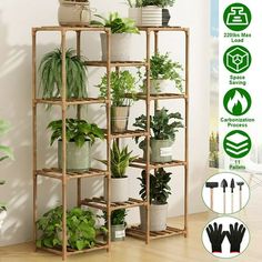 a plant stand with potted plants and gardening tools