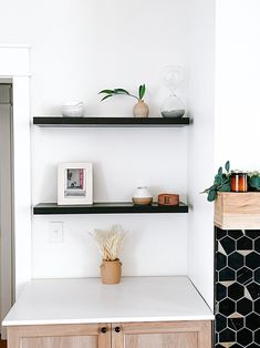 two shelves with plants and pictures on them