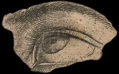 an old drawing of the eye of a person's head, with only one eye visible