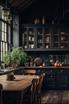 an old fashioned kitchen with wooden floors and black cabinets, potted plants on the counter