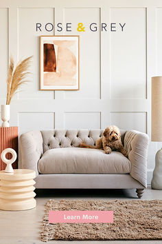 a dog sitting on top of a couch in a living room