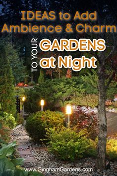 garden at night with text that reads ideas to add ambience and charm to your garden