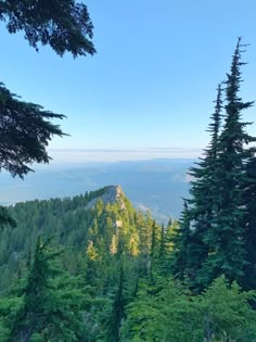 the view from the top of a mountain with pine trees