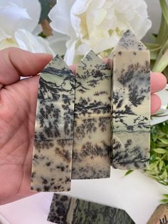 Green Crystals Stones, Beautiful Crystals, All Crystals, Picture Jasper, Crystals Stones, Green Crystals, Crystals Minerals, Crystal Items, Stones And Crystals