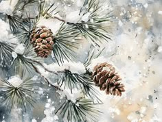 watercolor painting of pine cones and snow