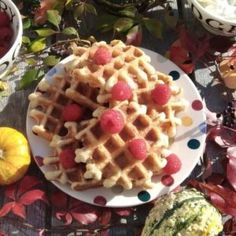 a plate with waffles and fruit on it