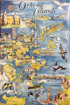 an illustrated map of the united states with birds and other things on it, as well as water