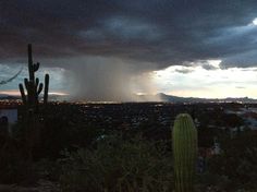 a storm rolls in over a city at night with cactus and cacti on the foreground