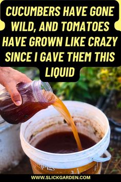 someone pouring some liquid into a bucket with the caption saying, cucumbers have gone wild, and tomatoes have grown like crazy since i gave them this liquid