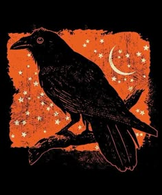 a black bird sitting on top of a tree branch with stars and moon in the background