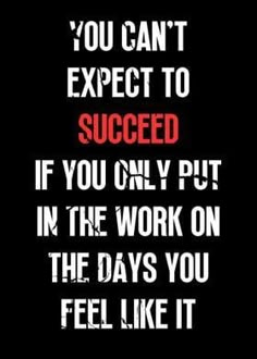 the quote you can't expect to success if you only put in the work on the days you feel like it