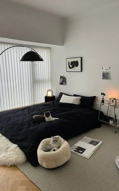 a bedroom with a cat bed in the middle