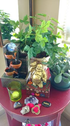 there is a small table with some plants on it