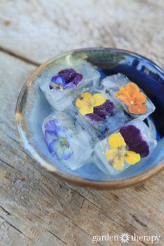 some flowers are sitting on ice cubes in a blue bowl with water and wood