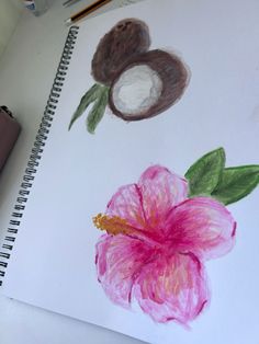 a drawing of a flower and two coconuts on a white paper with colored crayons