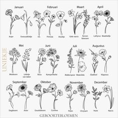 an image of different flowers in english and german language, with the names on them