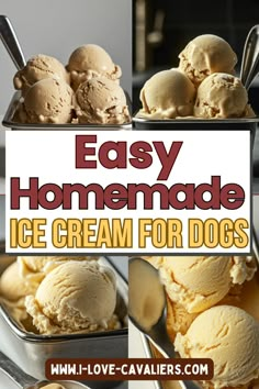 easy homemade ice cream for dogs