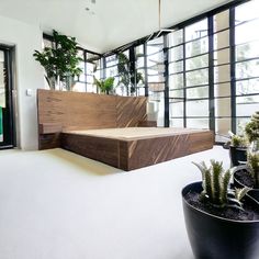 a room that has some plants on the floor and in front of it is a bed made out of wood