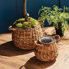 two wicker baskets sitting on top of a wooden floor next to a potted plant