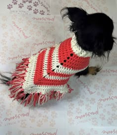 a small dog wearing a red and white crocheted sweater