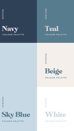 four different color palettes for the navy logo, including blue and white colors on them