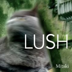 a blurry photo of a cat with the words lush on it