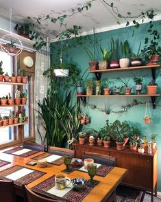 a dining room filled with lots of potted plants