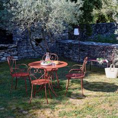 an outdoor table and chairs in the grass next to a stone wall with olive trees