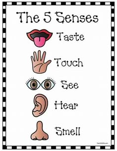 the 5 senses taste touch see hear smell sign with an image of hands and eyes