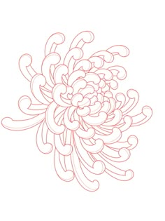 a drawing of an orange flower on a white background