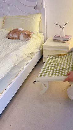 a cat laying on top of a white bed next to a person holding a tray