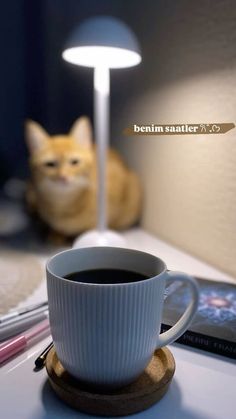 #cat #kedi #kahve #coffee #kitap Coffee