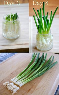 three pictures show onions in a glass jar