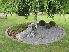 a small tree is in the middle of a graveled area with rocks and plants