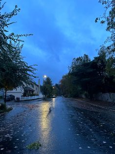 a wet street with trees and buildings in the background