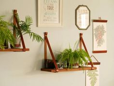 three wooden shelves with plants and pictures on the wall