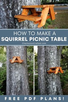 Ready to welcome some furry friends to your backyard? Discover how to make a squirrel picnic table with our easy DIY tutorial! Say goodbye to boring bird feeders and hello to a charming addition that brings joy to your outdoor space. Diy Squirrel Feeder, Squirrel Picnic Table, Picnic Table Plans, Wooden Picnic Tables, Building Raised Garden Beds, Squirrel Feeder, Picnic Bench, Wood Scraps, Stone Pathway