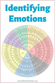 a wheel with the words how are you feeling?