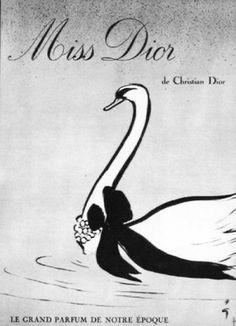 a black and white drawing of a swan