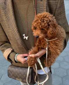 a person holding a brown dog in their hand and wearing a purse on the other side