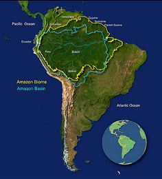 a map of the amazon with all its major rivers