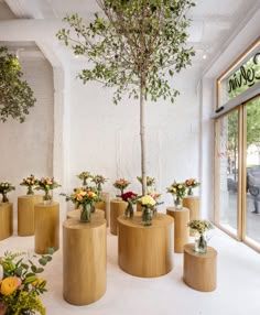 several wooden stools with flowers on them are in front of a storefront window