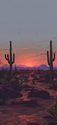 the sun is setting in the desert with many cacti