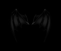 two black bats are facing each other on a dark background with only one wing visible