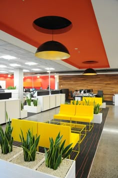 an office with yellow chairs and plants on the desks, in front of a red ceiling