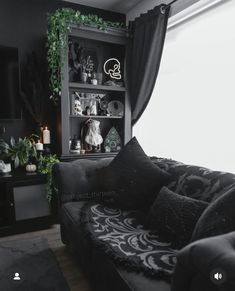 a living room with black furniture and plants on the shelves in front of the window