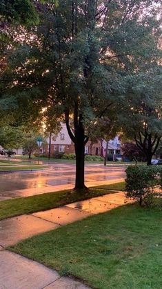 the street is wet from rain and it's not raining in any way yet