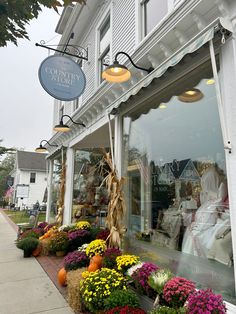 a store front with flowers in the window and lights hanging from it's windows