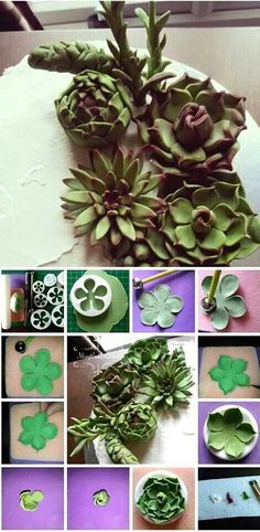 there are many different pictures of flowers and plants in the process of making them look like they were made out of clay